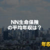 エヌエヌ生命保険(NN生命保険)はブラック企業?平均年収や評判・口コミ
